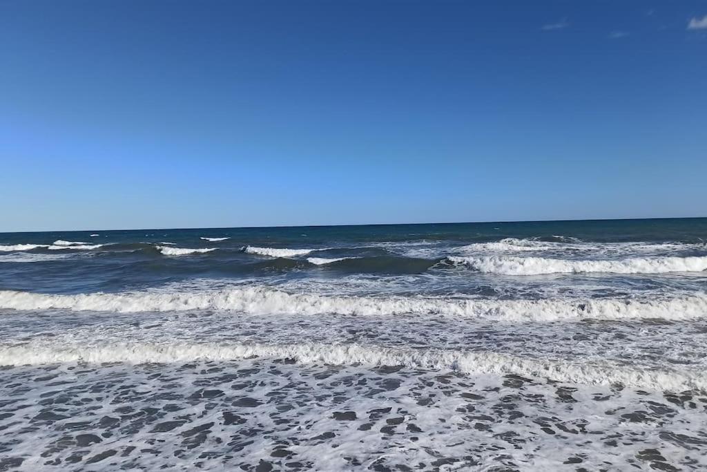 Piso En Playa De Gandia! Lägenhet Exteriör bild